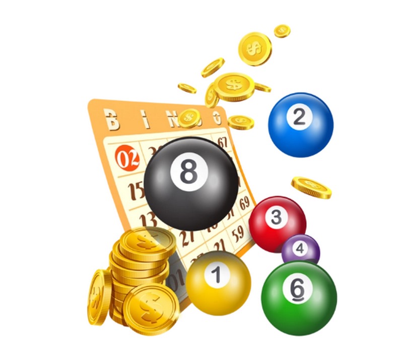 乐鱼体育的简介