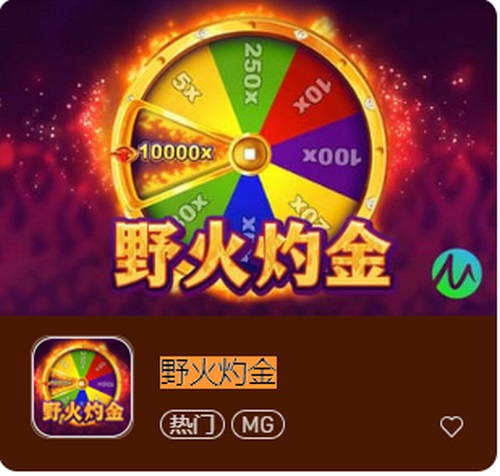 体验惊心动魄的刺激与火热,尽在野火灼金老虎机游戏! 2 野火灼金